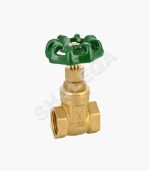 Gate Valve 1 Inch